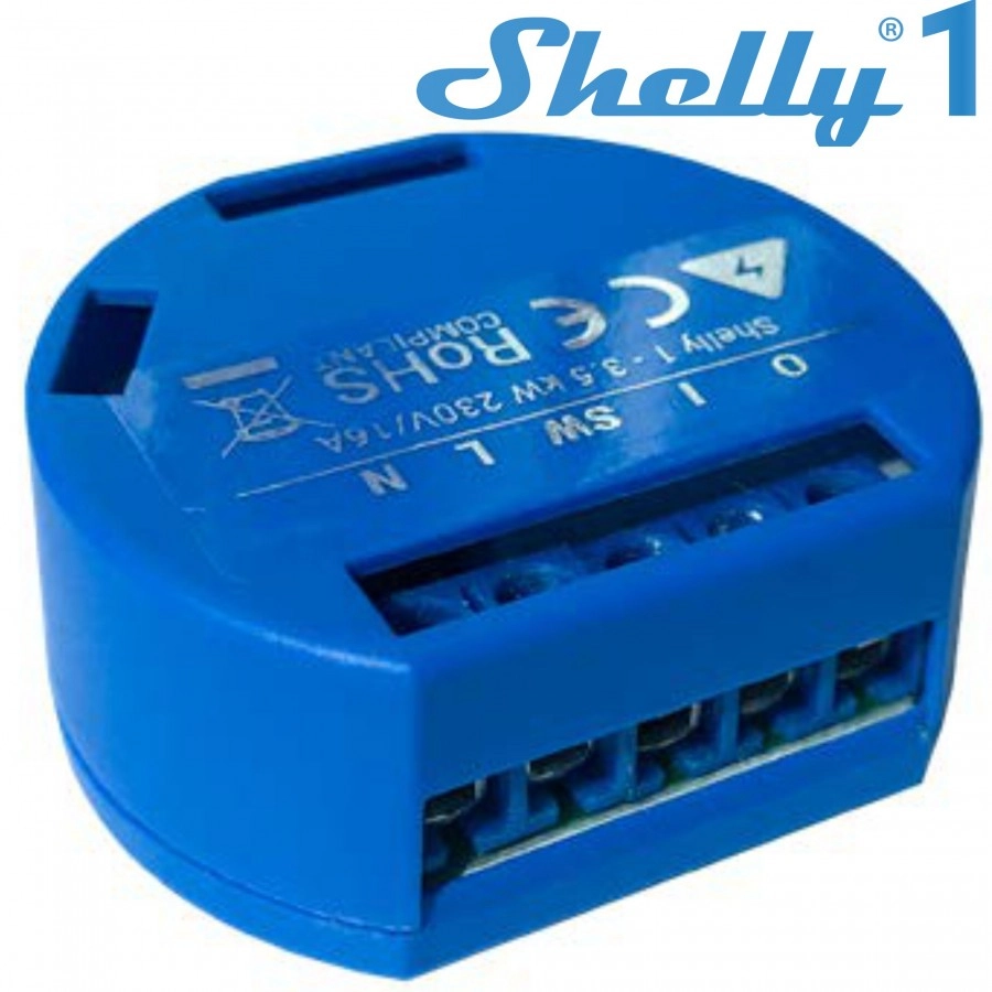 shelly-1